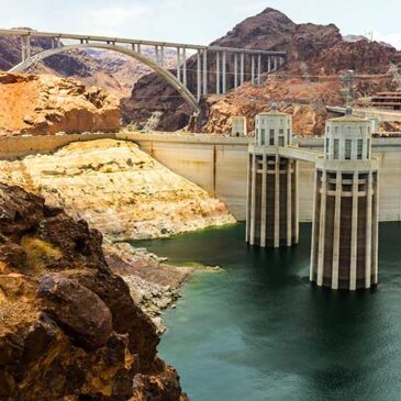 Settori di riferimento